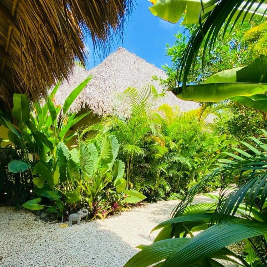 Villas Argan Playa Santa Teresa  Exterior photo